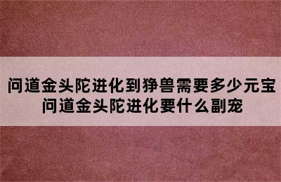 问道金头陀进化到狰兽需要多少元宝 问道金头陀进化要什么副宠